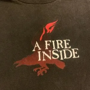 AFI | Shirts | Afi A Fire Inside Xl Tshirt Bird On Front Devil On